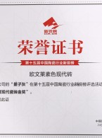 年度现代瓷砖金奖