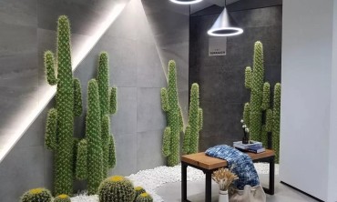 经销商怎么选品牌？有实力的选它！