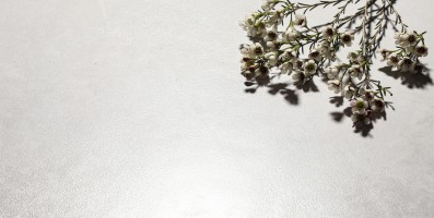 清新系 - 奶油纯